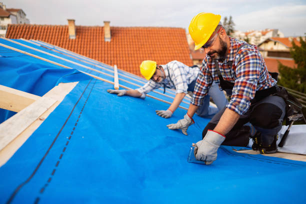 Best Roof Gutter Cleaning  in Hillsboro, ND