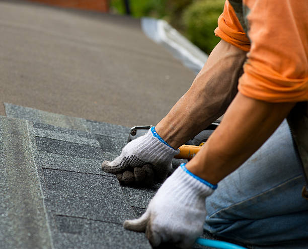 Best Roof Maintenance Services  in Hillsboro, ND