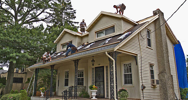 Best Roof Restoration Services  in Hillsboro, ND
