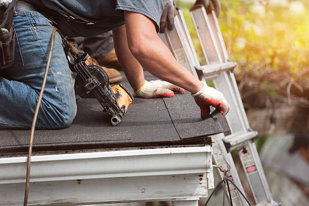Best Roof Leak Repair  in Hillsboro, ND