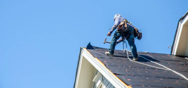 Best Roof Repair Services  in Hillsboro, ND